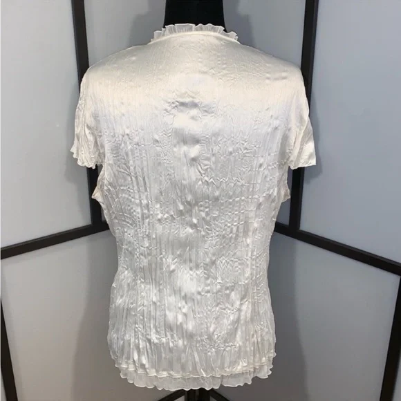 Crinkled Blouse w Satin Faux Finish - Picture 2 of 8